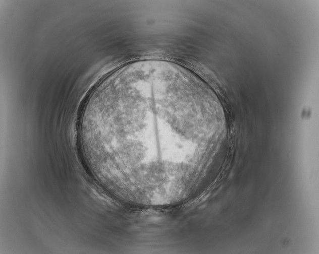 X0000096690290200802261547