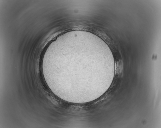 X0000096690291200802261547