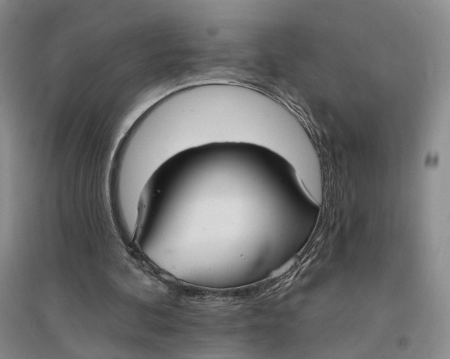 X0000096690292200802261547