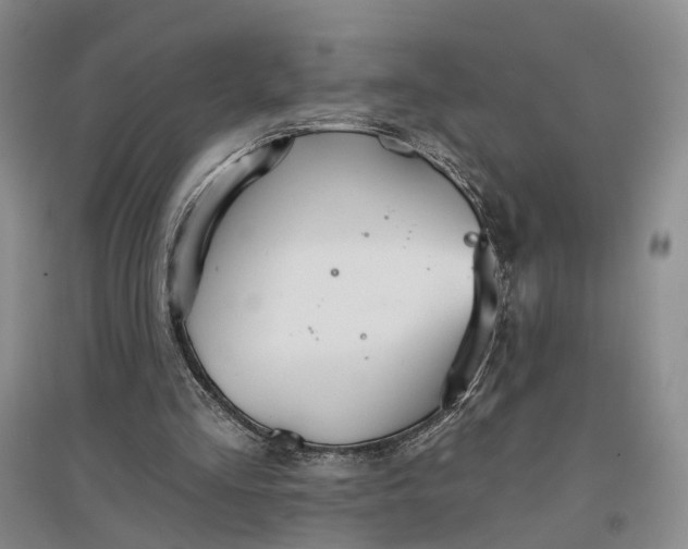 X0000096690293200802261547