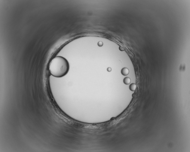 X0000096690294200802261547