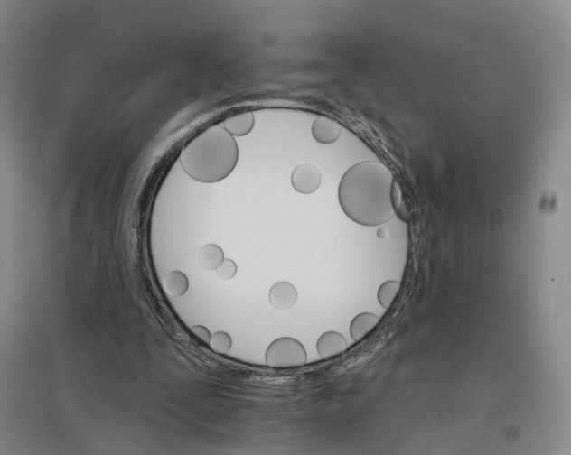 X0000096690295200802261547