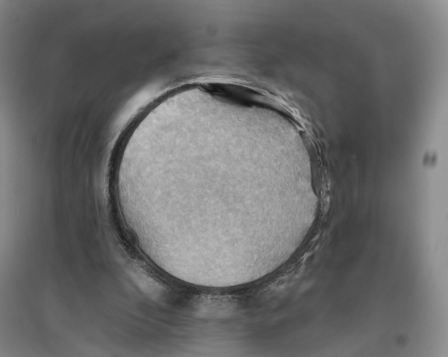 X0000096690296200802261547