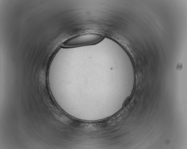 X0000096690297200802261547