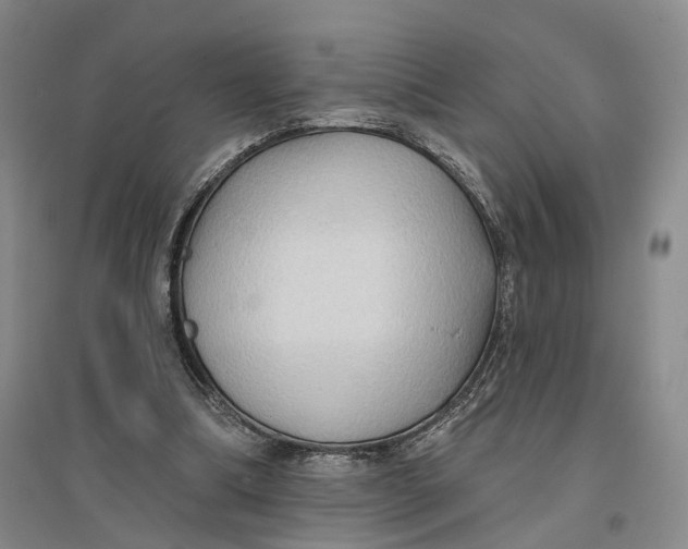 X0000096690298200802261547