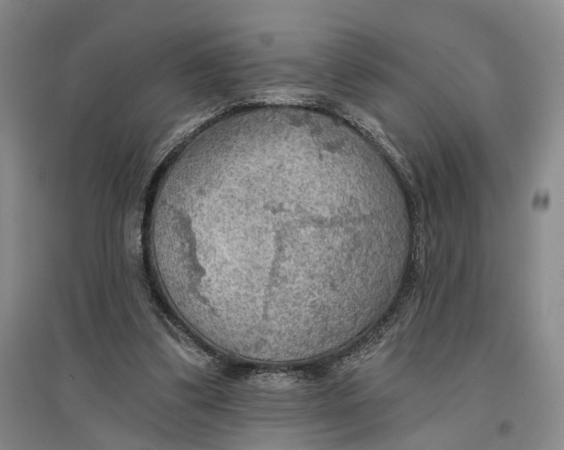 X0000096690299200802261547