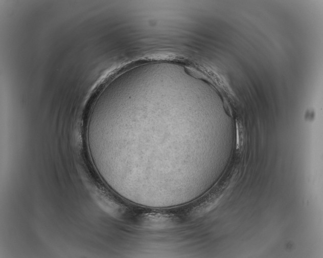 X0000096690300200802261547