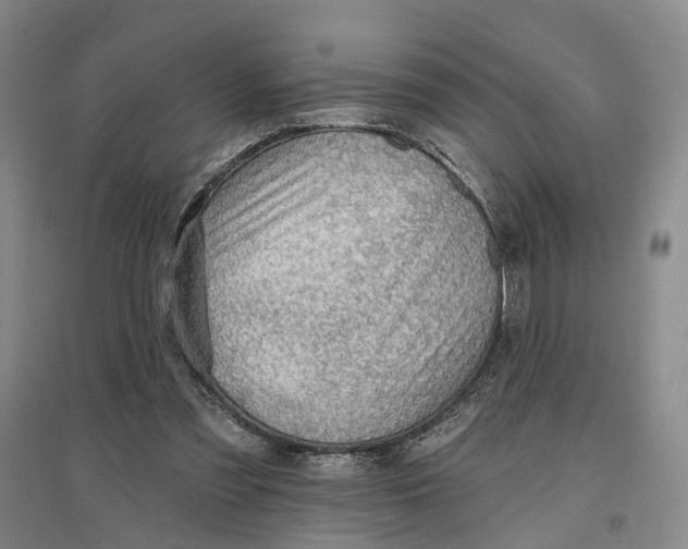 X0000096690301200802261547