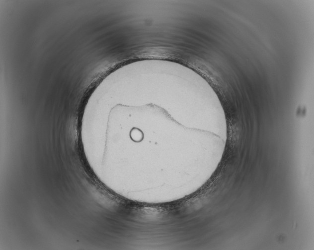 X0000096690302200802261547