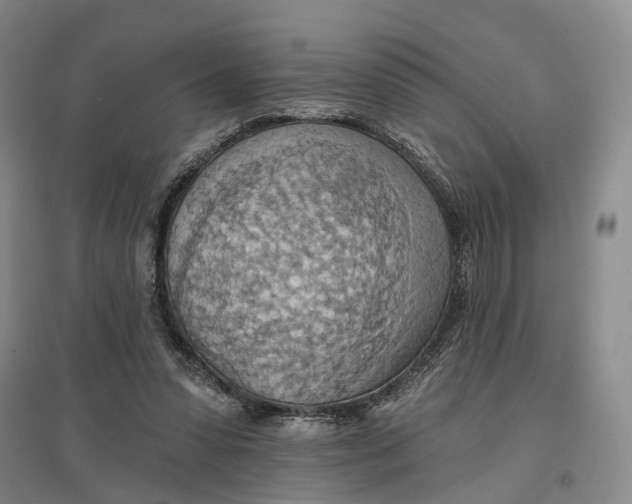 X0000096690303200802261547