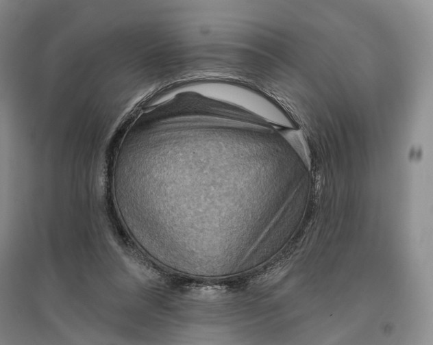 X0000096690304200802261547