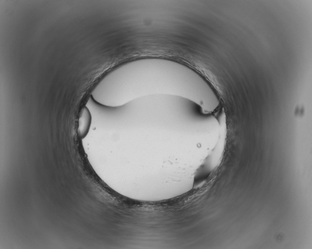 X0000096690305200802261547