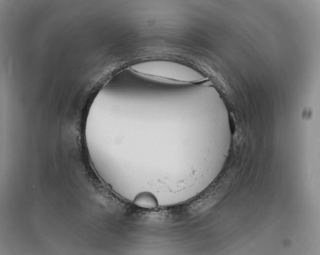 X0000096690306200802261547