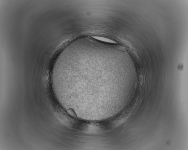 X0000096690308200802261547