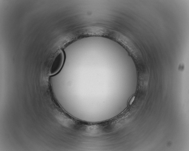 X0000096690309200802261547