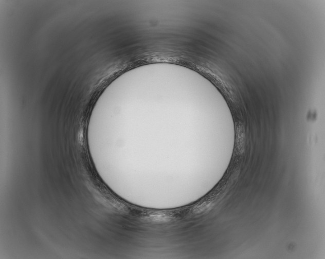 X0000096690310200802261547