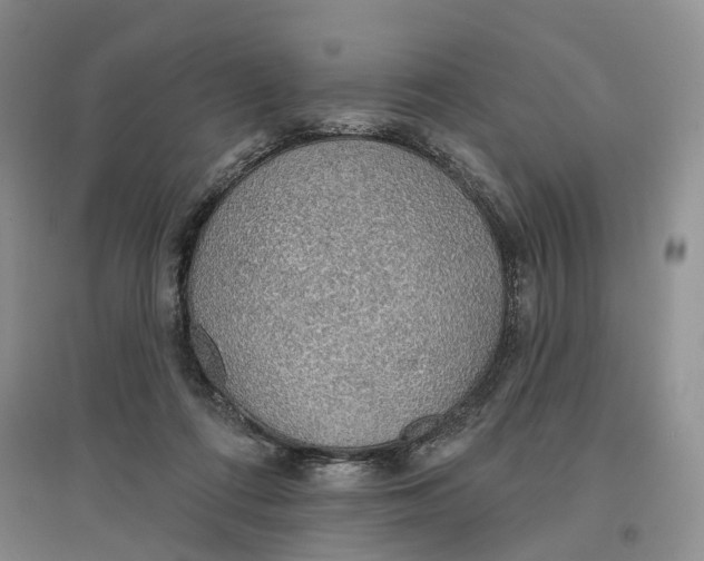 X0000096690312200802261547