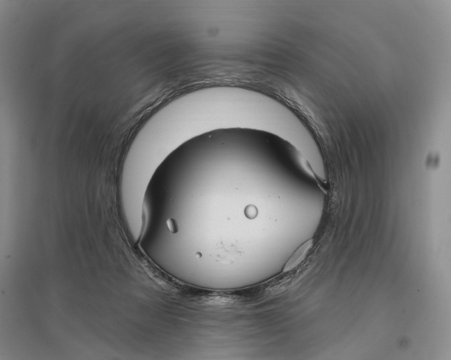 X0000096690313200802261547