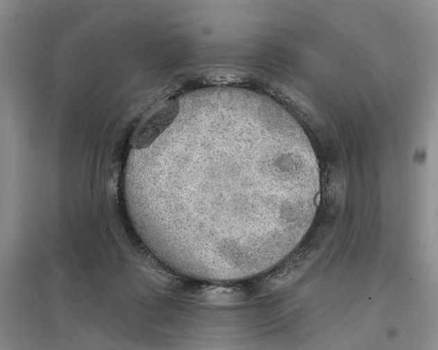 X0000096690315200802261547