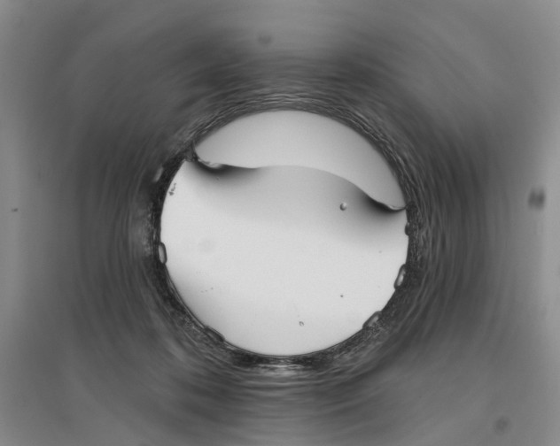 X0000096690316200802261547