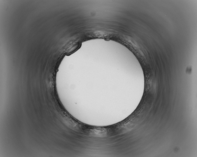 X0000096690317200802261547