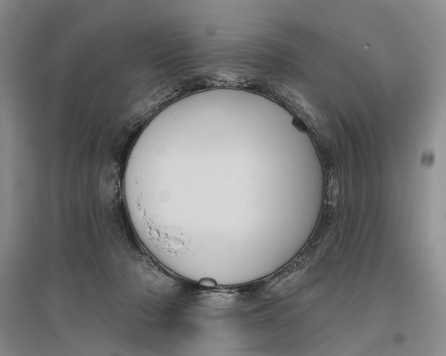 X0000096690318200802261547