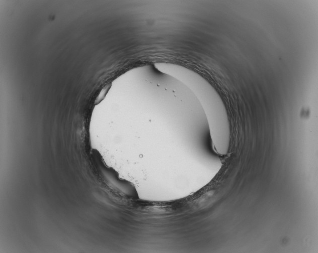 X0000096690320200802261547