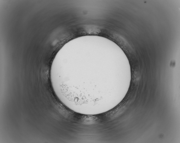 X0000096690321200802261547