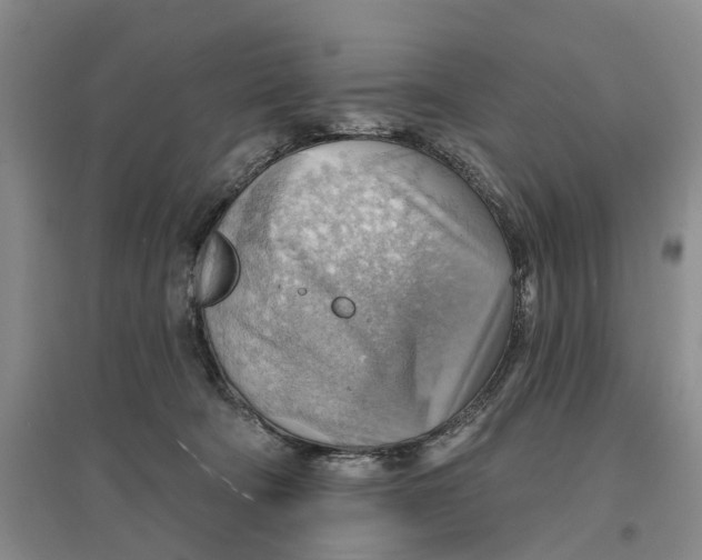 X0000096690322200802261547