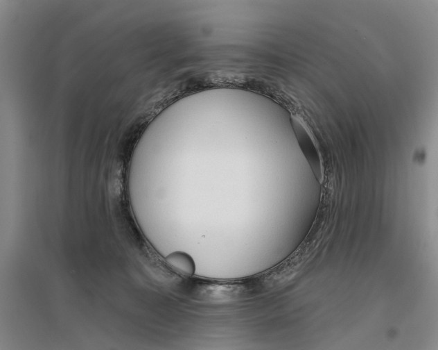 X0000096690323200802261547