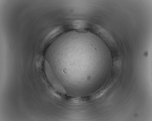 X0000096690325200802261547