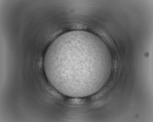 X0000096690326200802261547