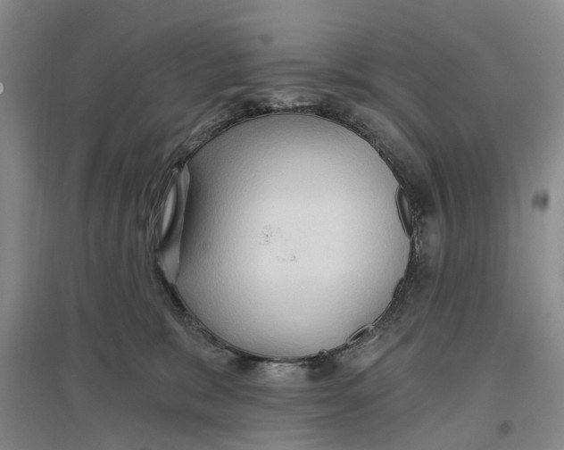 X0000096690327200802261547