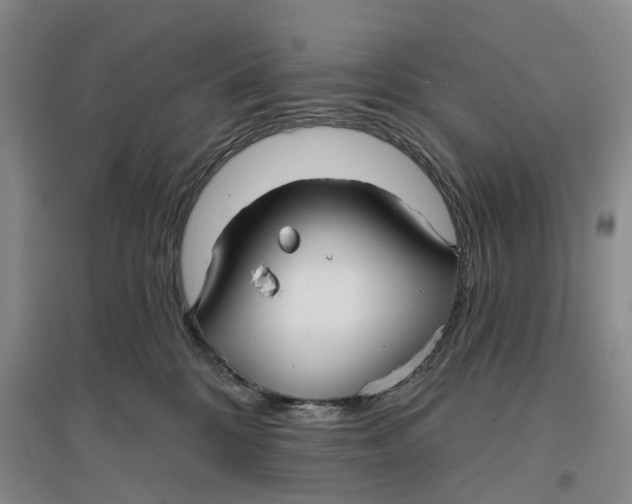 X0000096690328200802261547