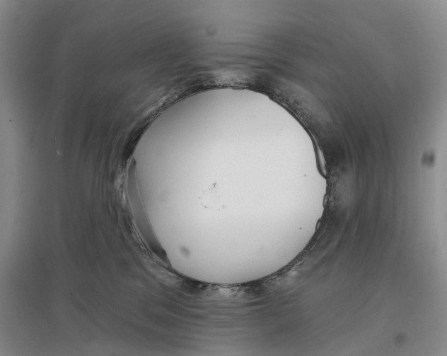 X0000096690329200802261547