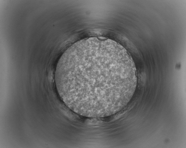 X0000096690331200802261547