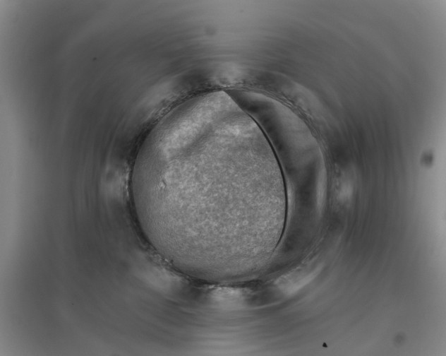 X0000096690332200802261547