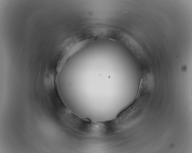 X0000096690333200802261547