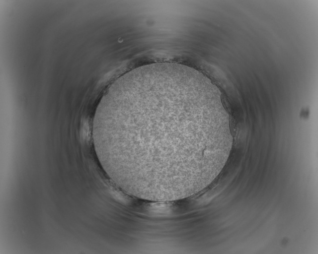 X0000096690335200802261547