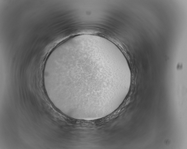 X0000096690337200802261546