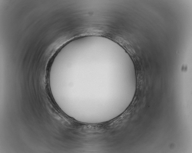 X0000096690338200802261546