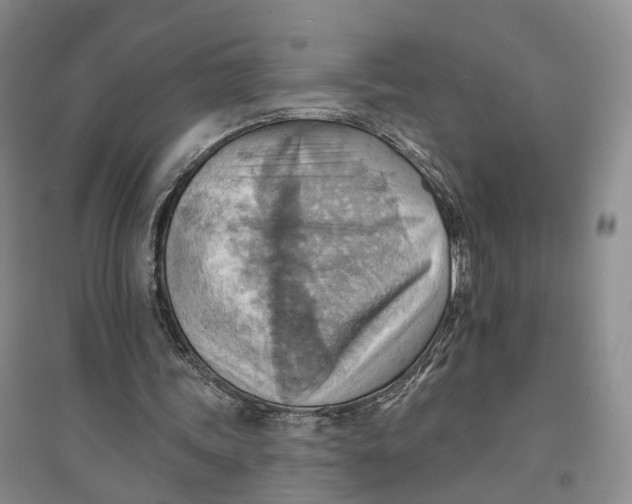 X0000096690339200802261546