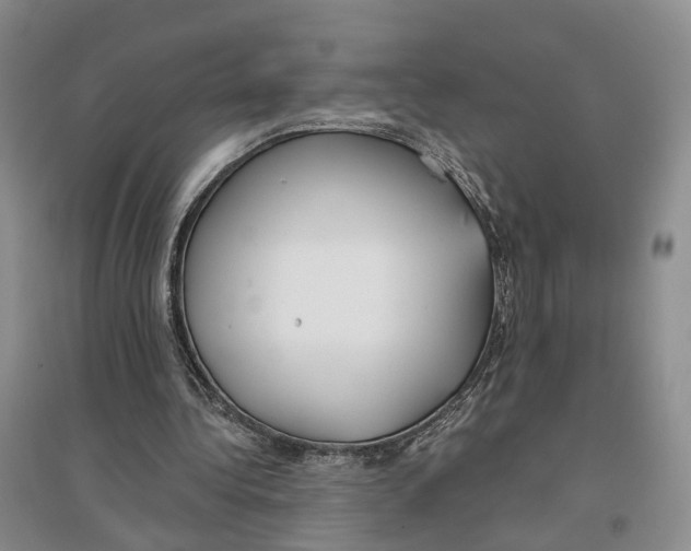 X0000096690340200802261546