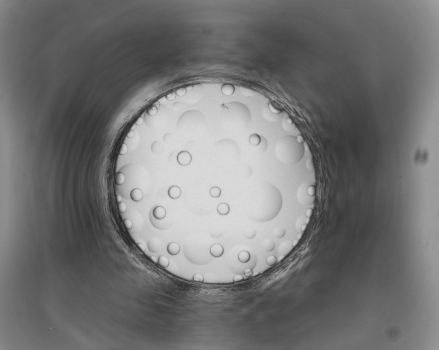 X0000096690341200802261546