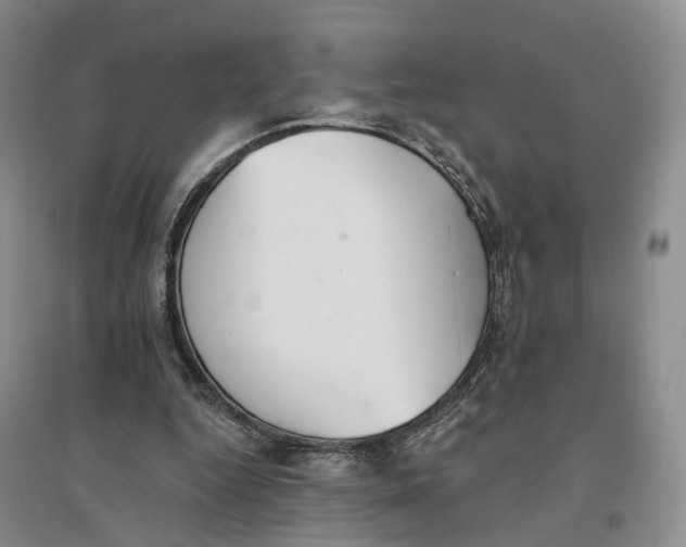 X0000096690344200802261546