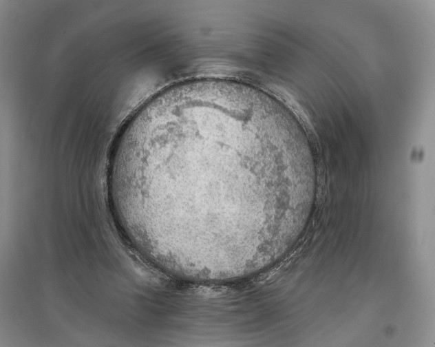 X0000096690346200802261546