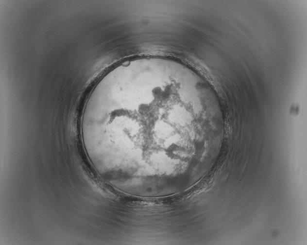 X0000096690347200802261546