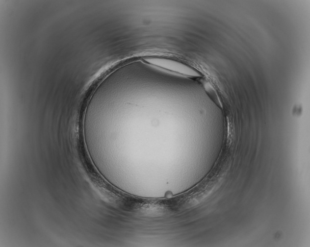 X0000096690348200802261546