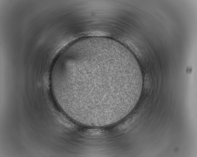 X0000096690351200802261546