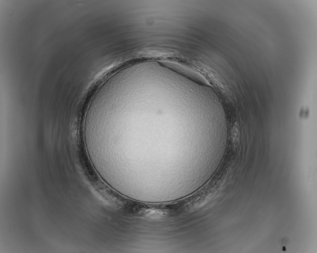 X0000096690352200802261546